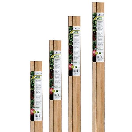 4 ft wooden stakes|Gardener's Blue Ribbon 4 ft. Wood Garden Stake.